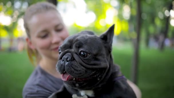 Cheerful Bulldog Who Stuck Out His Tongue Breathes Heavily Held — Vídeo de Stock