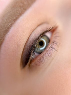Kalıcı bir makyaj prosedürü uygulanmış bir gözün makro çekimi.