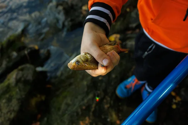 男孩手里拿着一条捕获的鱼 紧紧地捏在他的手掌上 — 图库照片