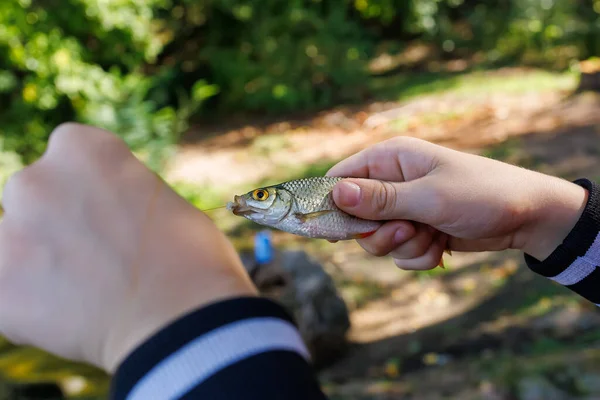 Close Nas Mãos Menino Peixe Que Ele Quer Tirar Gancho — Fotografia de Stock