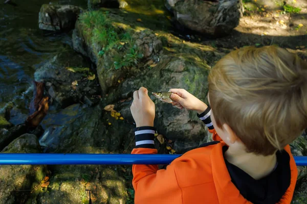 Draufsicht Eines Fischerjungen Der Einen Fisch Der Hand Hält Und — Stockfoto