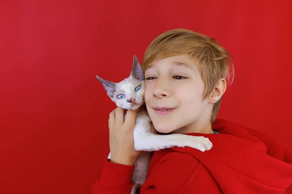 Närbild Ansiktet Pojke Som Kramar Vit Katt Med Blå Ögon — Stockfoto