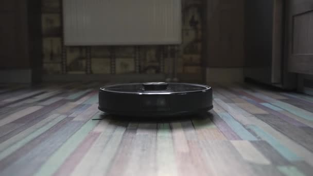로봇 청소기의 작업을 보고 있는 고양이 — 비디오
