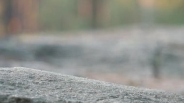 Close-up of feet in hiking boots walks on stone. Hike in boots go steps stone road on forest background. Travel concept active people on the one way to move forward slow motion.High quality 4k footage