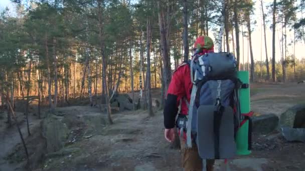 Back View Hiking Man Travel Backpack Forest Alone Travelling Man — Wideo stockowe