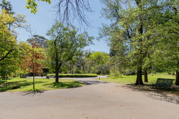 Sonbahar mevsiminin başında halk parkı