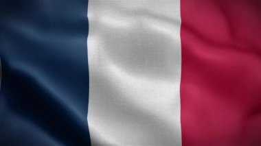 Rüzgarda dalgalanan Fransa bayrağı