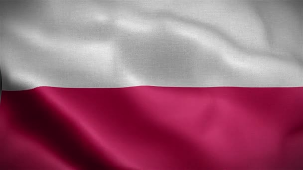 Flag Poland Flag Fluttering Wind — Stock Video