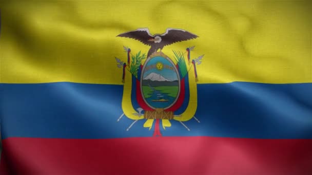 厄瓜多尔国旗在风中飘扬 — 图库视频影像