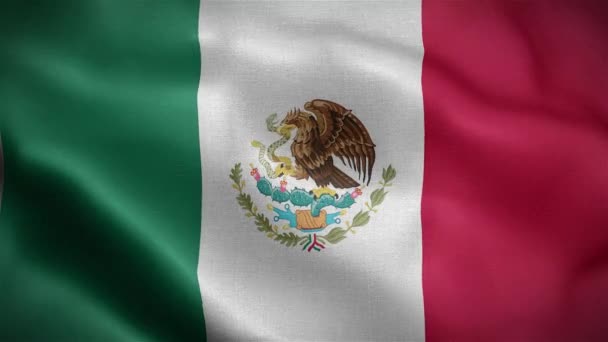 Vlag Van Mexico Vlag Fladderen Wind Animatie Van Mexicaanse Vlag — Stockvideo