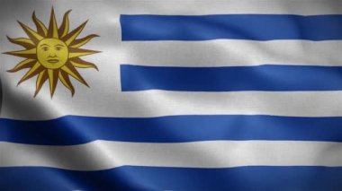 Uruguayay Bayrağı Bayrağı. Rüzgarda dalgalanan Uruguay bayrağının rüzgarda dalgalanan 3D animasyonunda dalgalanan bayrak..