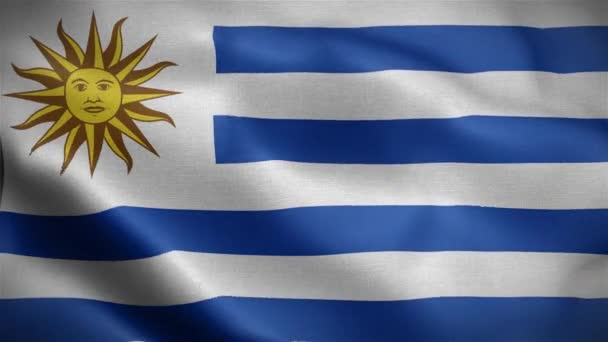 Uruguayflaggan Uruguay Flaggan Fladdrar Vinden Animation Uruguay Flaggan Fladdrar Vinden — Stockvideo