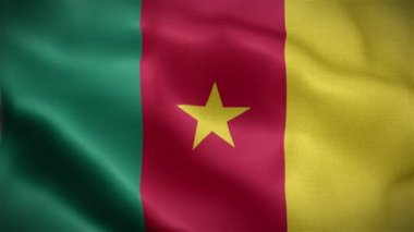 Kamerun bayrağı. Rüzgarda dalgalanan kamera bayrağı