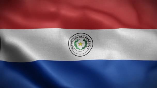 Bandera Paraguay Ondeando Viento — Vídeos de Stock
