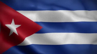 Rüzgarda dalgalanan Küba bayrağı.