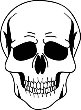 Hand Drawn front skull illustration isolated on background