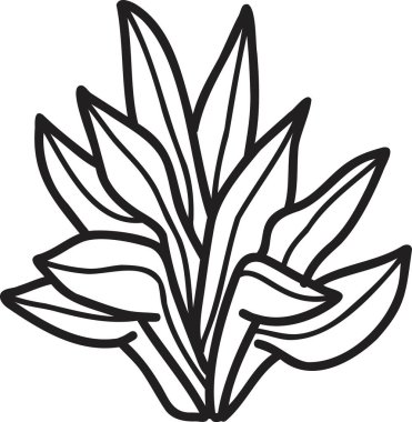 El çizimi, arka planda izole edilmiş şirin bir bitki çizimi