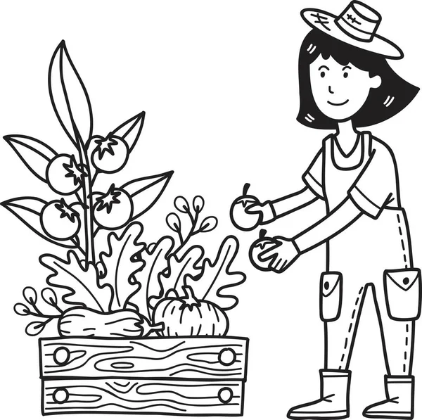 Handgezeichnete Bäuerin Pflückt Obst Und Gemüse Illustration Isoliert Auf Hintergrund — Stockvektor
