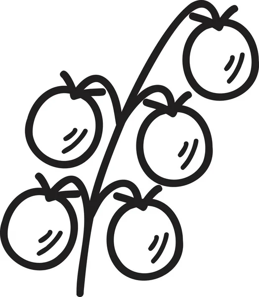 Disegnato Mano Mazzo Pomodori Illustrazione Isolato Sfondo — Vettoriale Stock