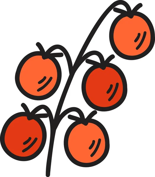 Ręcznie Rysowane Kilka Pomidorów Ilustracja Izolowane Tle — Wektor stockowy