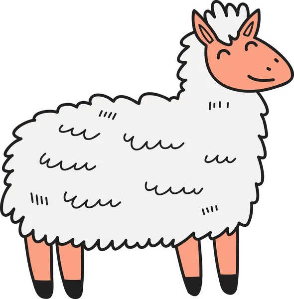 Handgezeichnete Niedliche Schafe Illustration Isoliert Auf Dem Hintergrund — Stockvektor