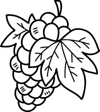 Arka planda izole edilmiş bir demet üzüm çizimi