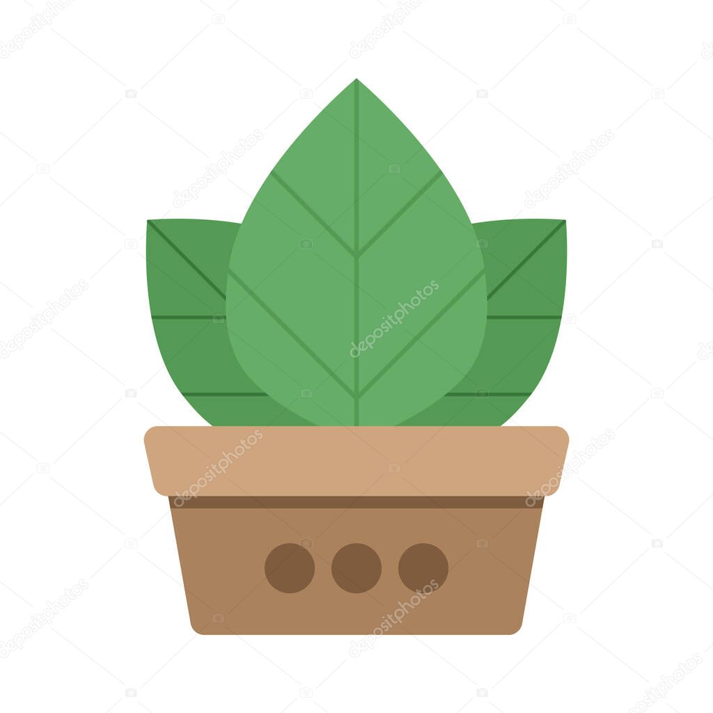 Potted plants color icon that is suitable for your modern business
