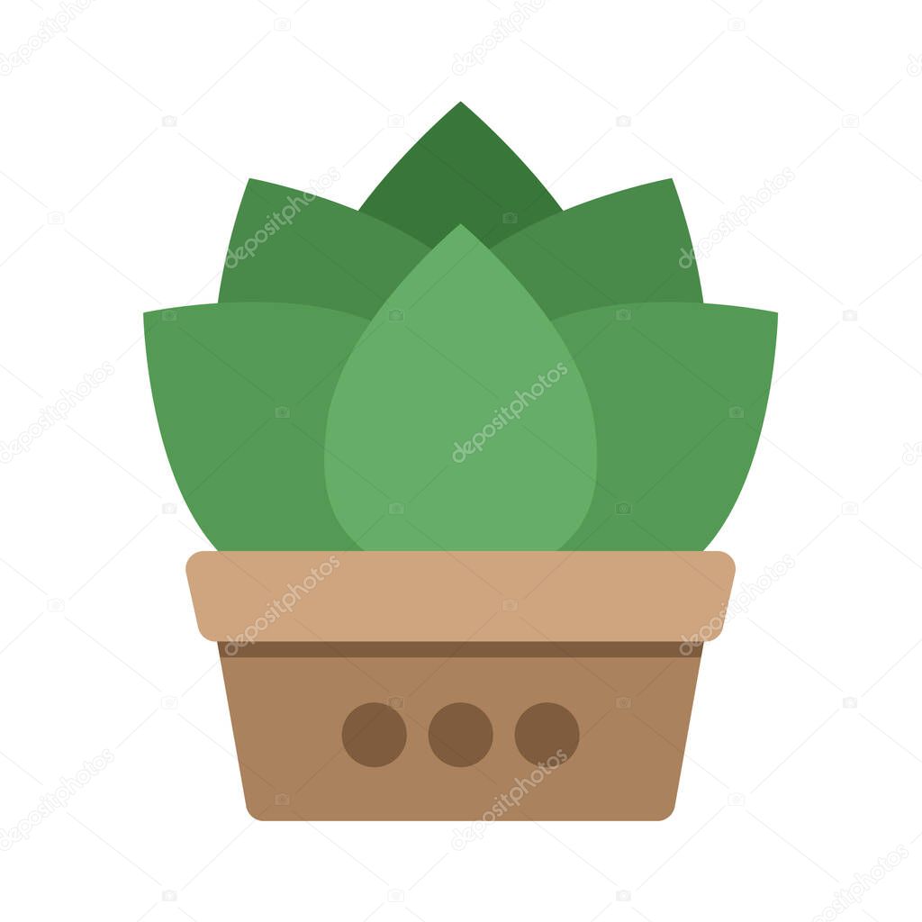 Potted plants color icon that is suitable for your modern business
