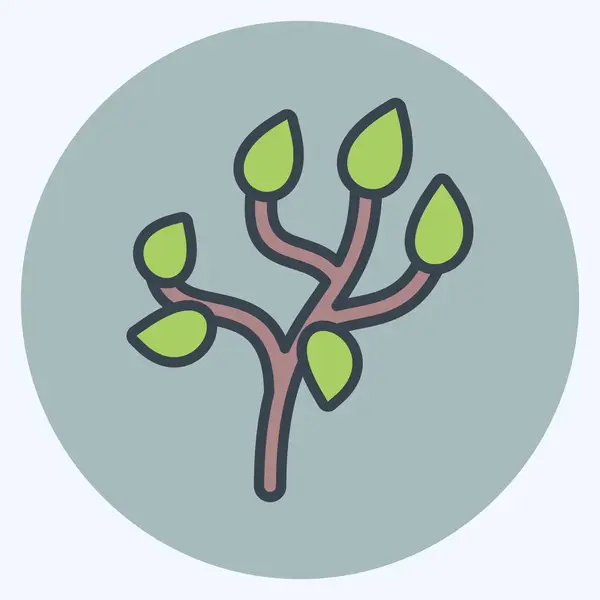 Ikoonboom Geschikt Voor Tuinsymbool Kleurmaat Stijl Eenvoudig Ontwerp Bewerkbaar Ontwerp — Stockvector