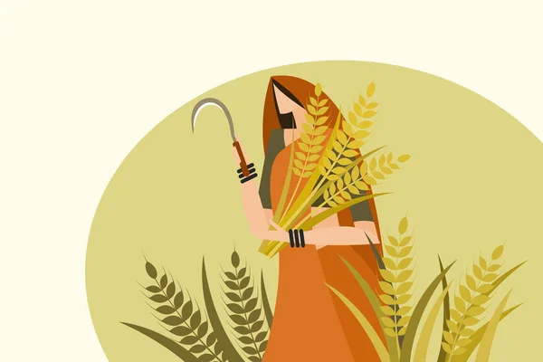 Geleneksel giyinmiş Hintli kadın buğday topluyor. 