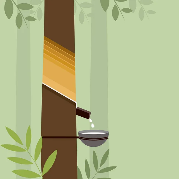 Ilustracja Drzewa Gumowego Lateksem Znajduje Się Filiżance — Wektor stockowy