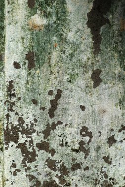 Yeşil yamalı soyut beyaz duvar arkaplanı