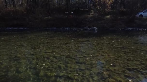 Повітряні Кадри Осені Над Річкою Село Шаманка — стокове відео