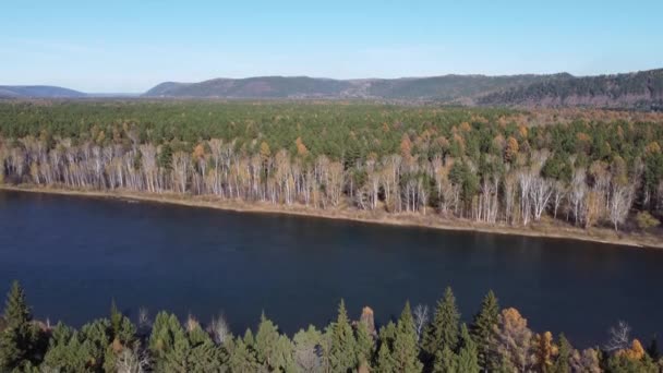 Höstens Flygbilder Över Floden Shamanka Byn — Stockvideo