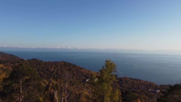 Осенние Воздушные Съемки Над Лесом Сибирь — стоковое видео