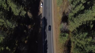 Ormanın üzerinde sonbahar hava görüntüleri. Sibirya