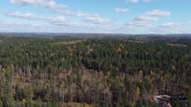 Ormanın üzerinde sonbahar hava görüntüleri. Sibirya