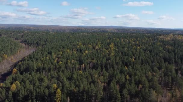 Jesienny Materiał Powietrza Nad Lasem Syberia — Wideo stockowe