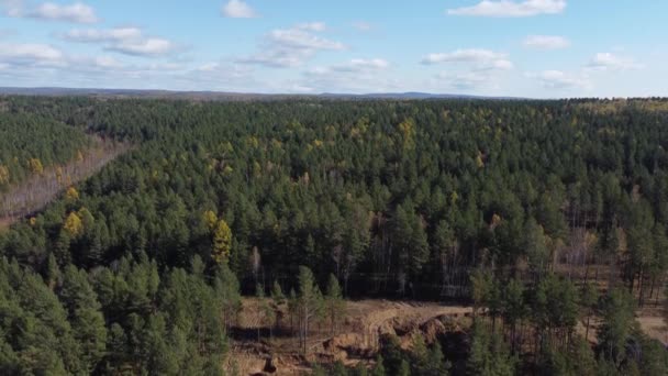 森の上の秋の空撮 シベリア — ストック動画