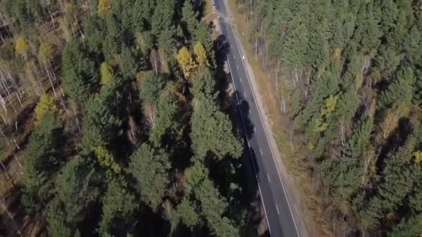 Efterårsfilm Fra Luften Skoven Sibirien – Stock-video