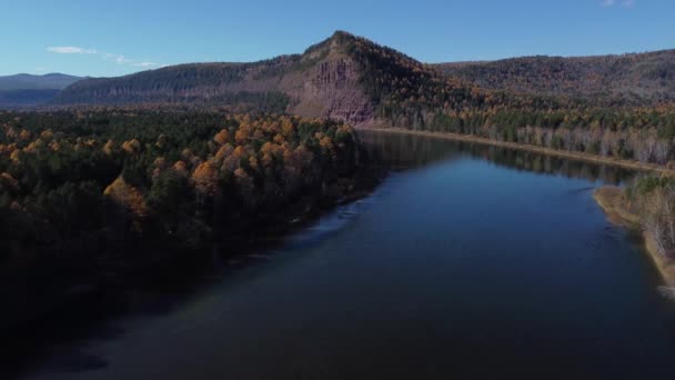 Sibirya Ormanı Üzerinde Sonbahar Hava Görüntüleri — Stok video