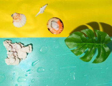 Sahilde mercanlar ve deniz kabuklarıyla yaratıcı bir yaz konsepti. Renkli bir geçmiş. Minimum deniz ve doğa düz bir fikir..