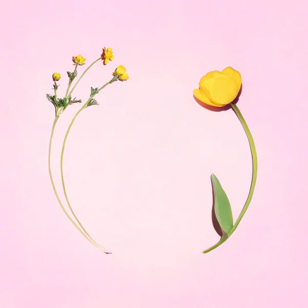 微小的布局 黄色郁金香和草甸花在粉红的粉红背景上 具有创意版权的浪漫自然平铺概念 — 图库照片