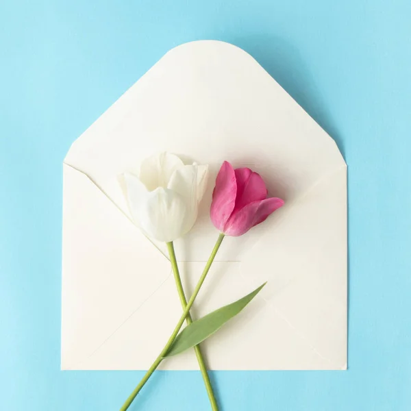 Minimal Layout Pink White Tulips Envelope Pastel Blue Background Romantic — Stock Photo, Image