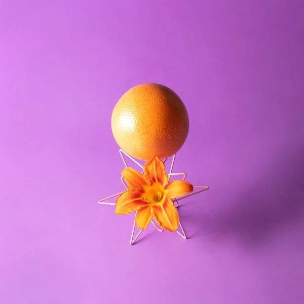 Δημιουργική Σύνθεση Γκρέιπφρουτ Και Πορτοκαλί Daylily Μωβ Φόντο Πολύχρωμο Καλοκαιρινό — Φωτογραφία Αρχείου
