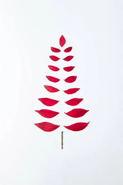 Herfst Rode Bladeren Witte Achtergrond Kerstboom Kussen Concept Minimale Herfstsamenstelling — Stockfoto