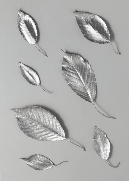 銀は灰色の背景に残る 最小限の近代的な構成 自然の平らなレイアウトのアイデア ストックフォト