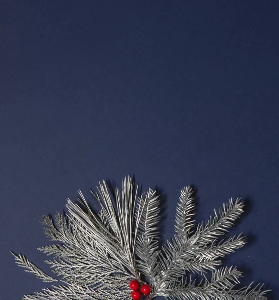 Silver Frosty Chrismas Tree Branches Red Berries Dark Blue Background — Stock Photo, Image