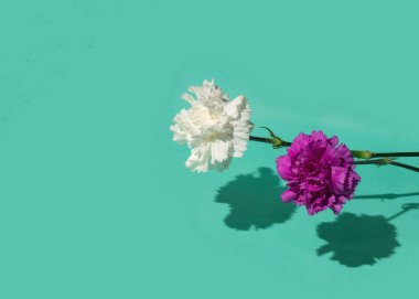 Nane arkaplanda güzel çiçekler. Yaratıcı hediye kompozisyonu. Asgari doğa kavramı.