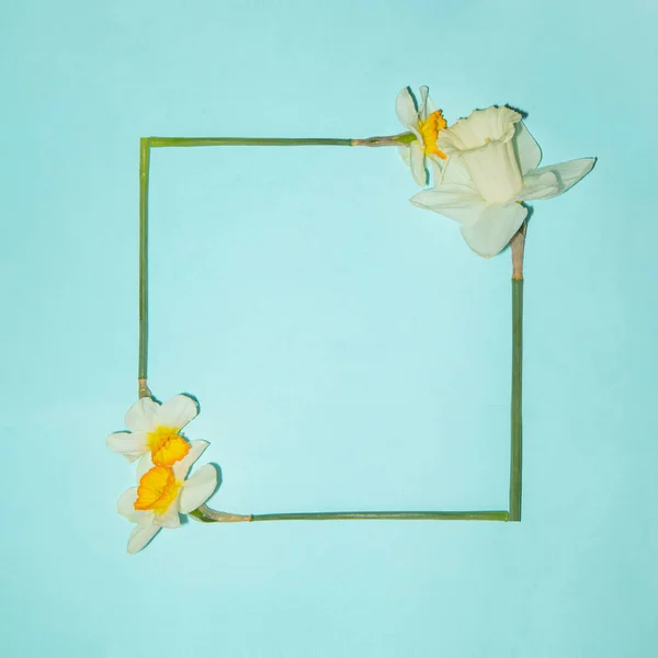 Frame Made Spring Flowers Pastel Light Blue Background Creative Flowers — 스톡 사진